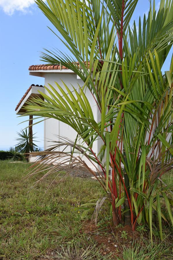 Hotel Peace&Lodge Sámara Exterior foto